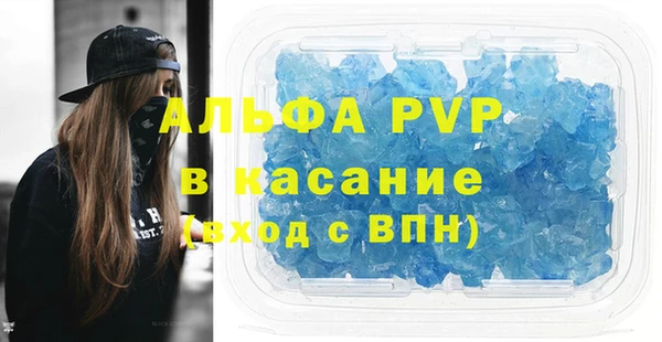 стафф Каменногорск