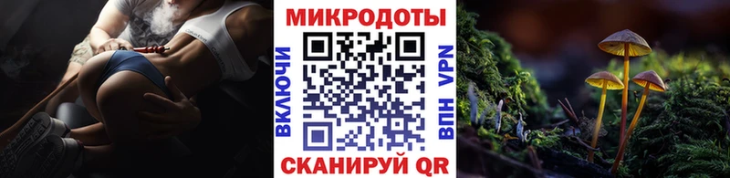 Галлюциногенные грибы Psilocybe  Купить закладки  Сухиничи 